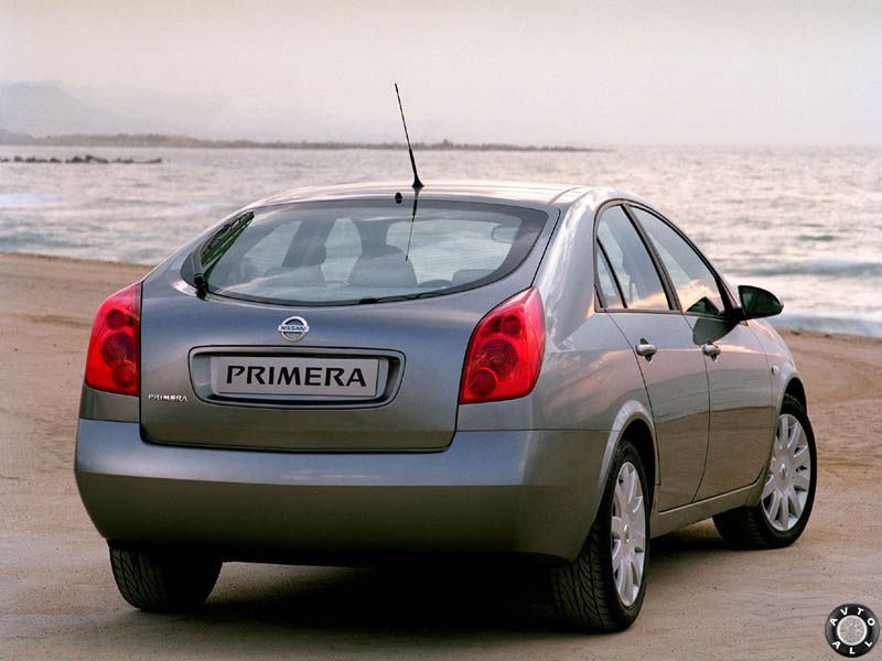 nissan primera P12 вид сзади