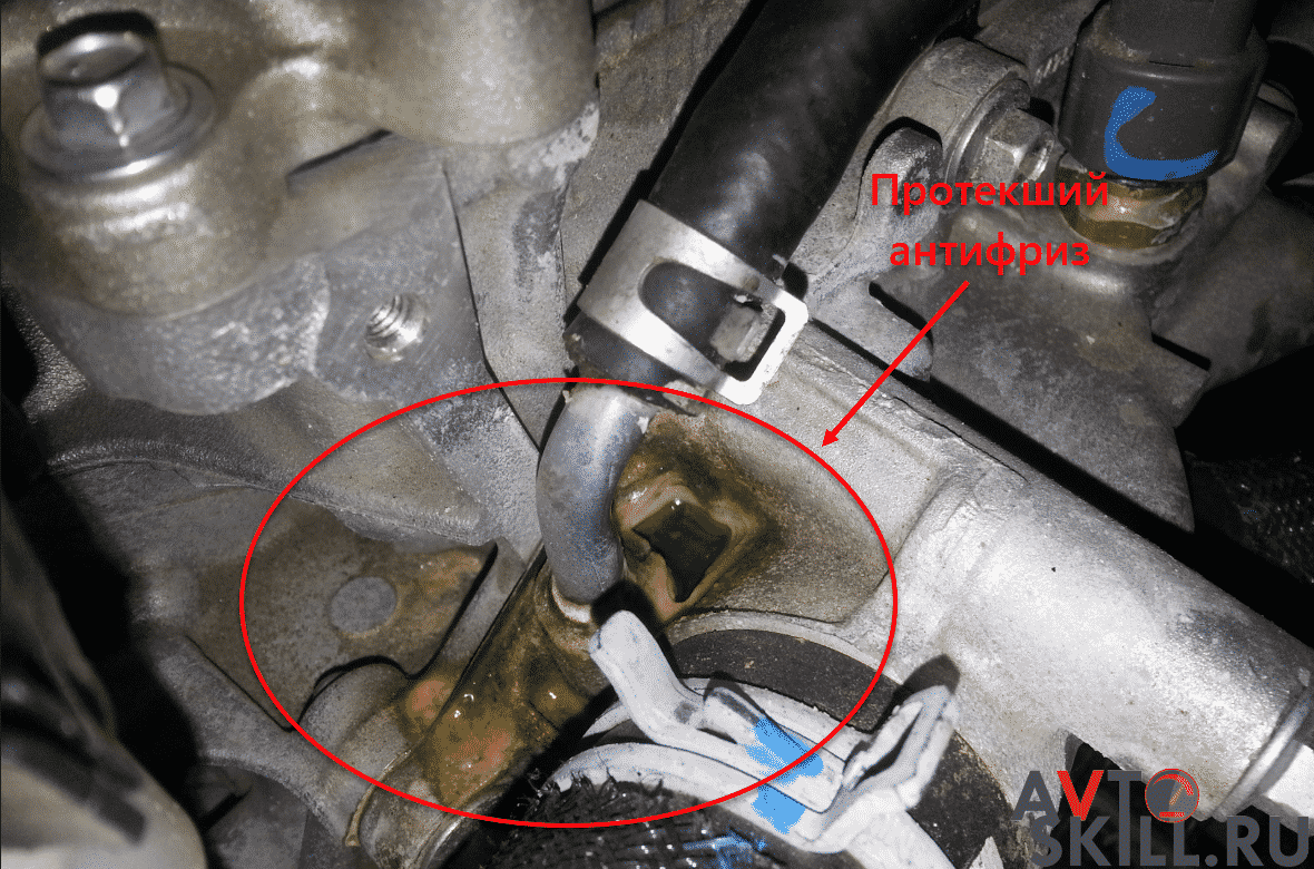 Какой антифриз выбрать для автомобиля 
