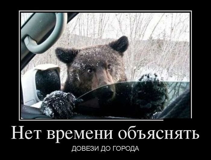 Авто Демотиваторы Авто Демотиваторы