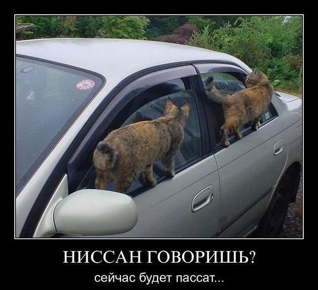 Авто Демотиваторы Авто Демотиваторы