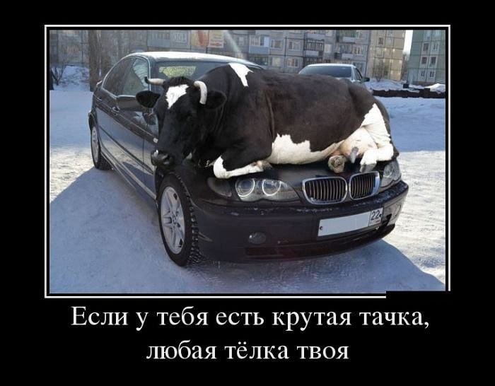 Авто Демотиваторы Авто Демотиваторы
