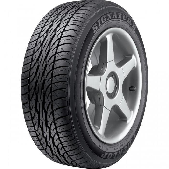 шины dunlop отзывы