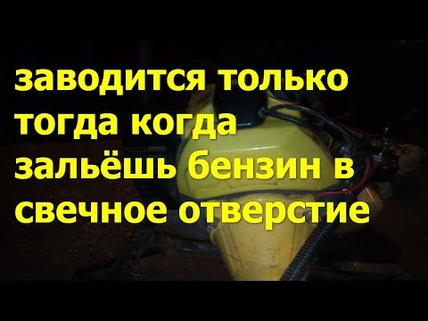 бензокоса не заводится