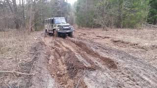 Вепрь по бездорожью весной