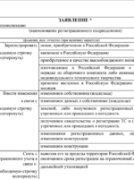 Паспорт транспортного средства