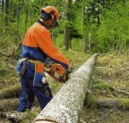 Обкатка бензопилы Хускварна