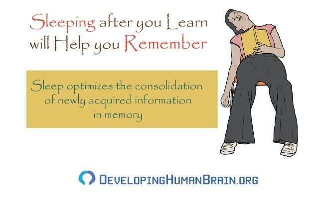 sleep as memory enhancer